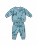 Blue Dinosaur Print Sweatshirt and Jogger Set