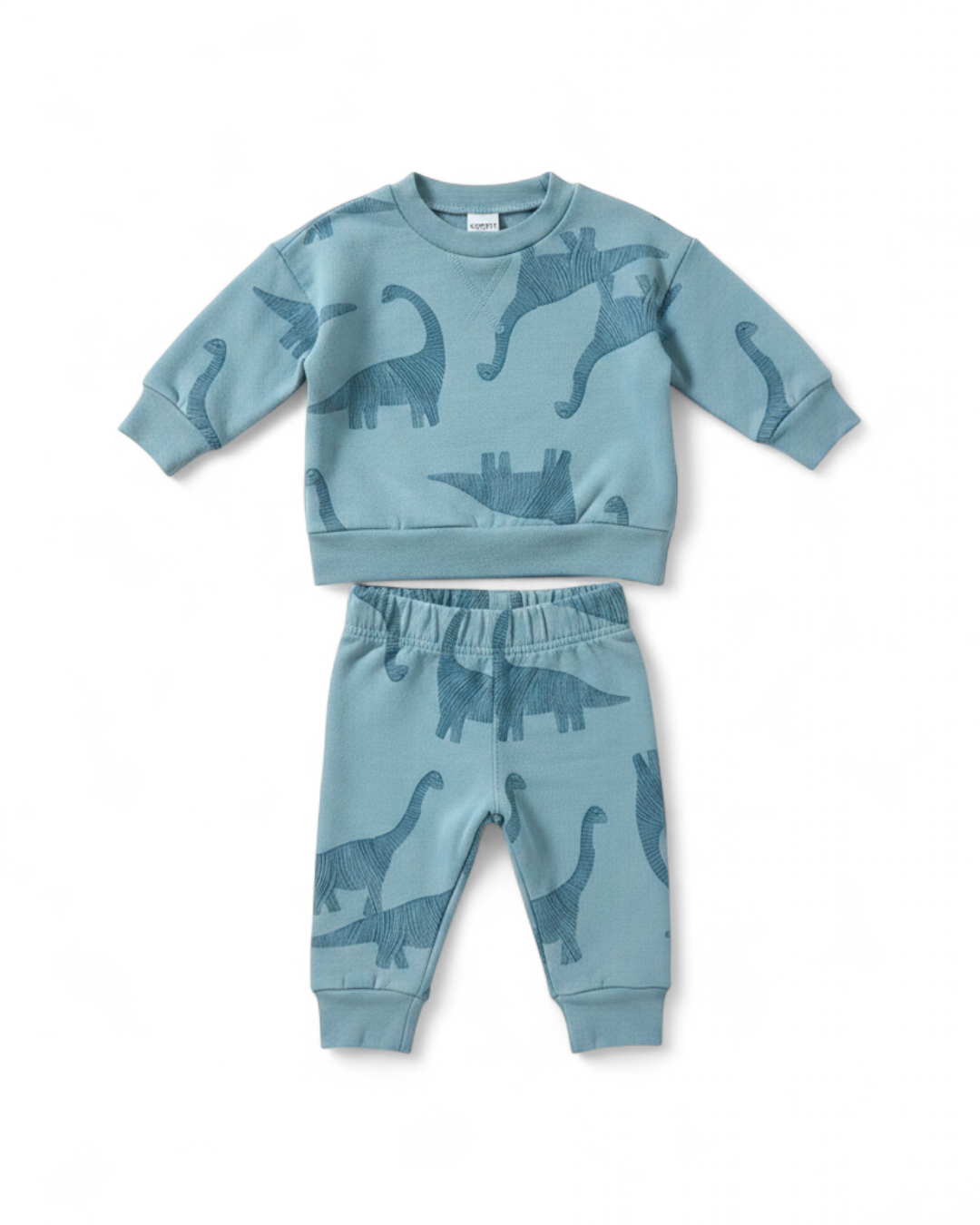 Blue Dinosaur Print Sweatshirt and Jogger Set