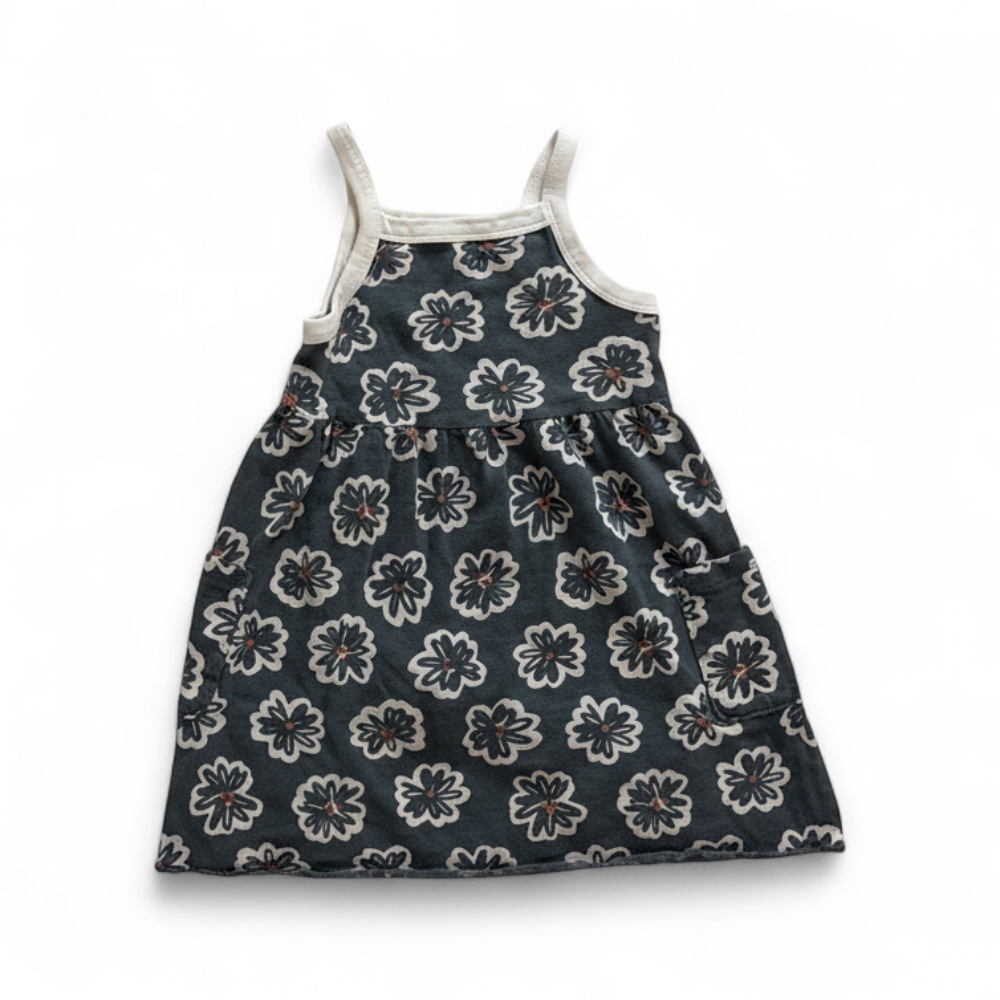 White and blue Butterfly Print Dress